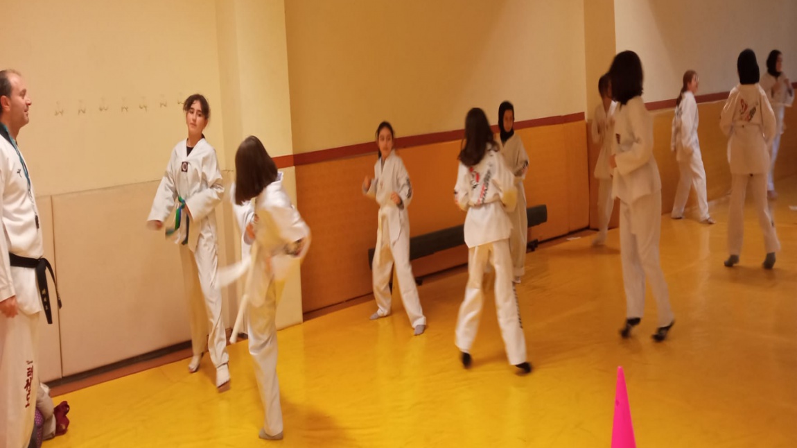 Taekwondo Kursumuz