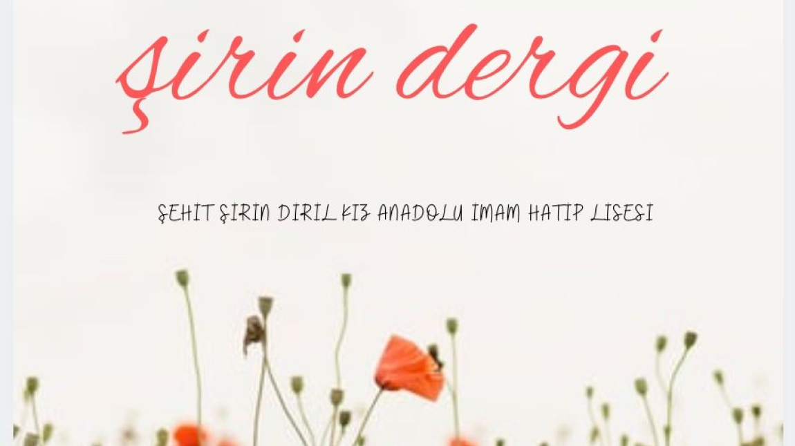 ŞİRİN DERGİ Sayı:1