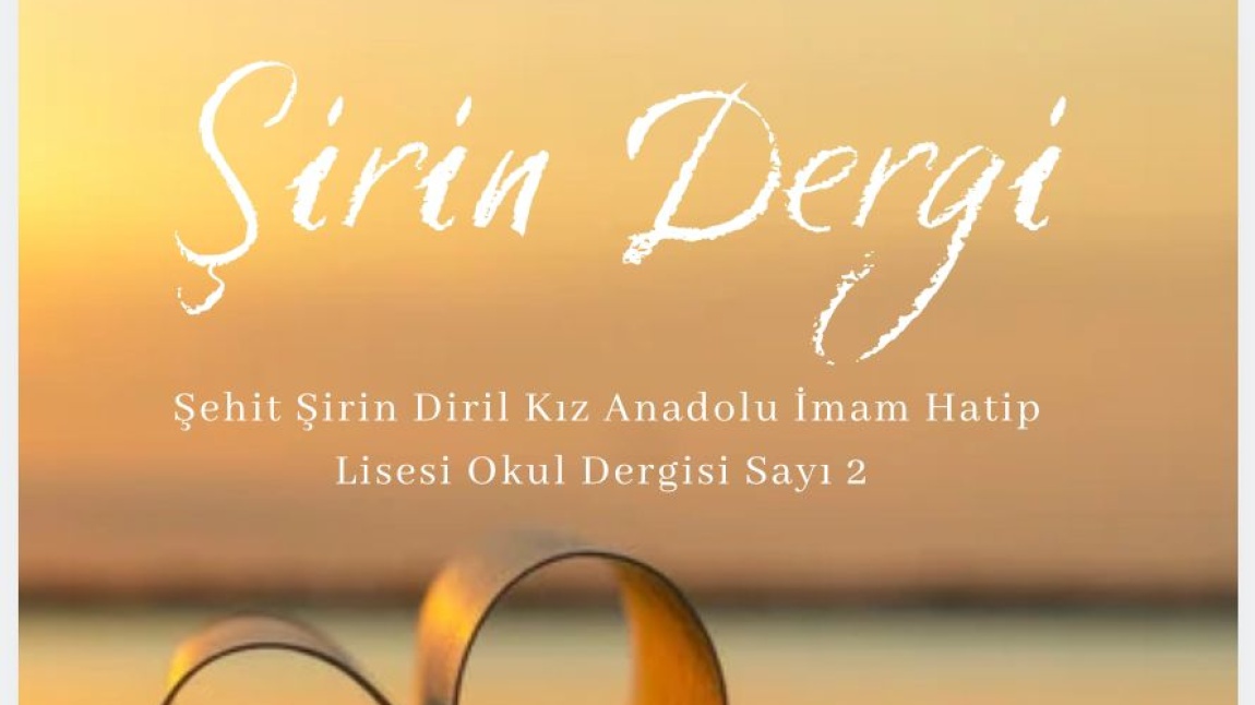 ŞİRİN DERGİ Sayı:2