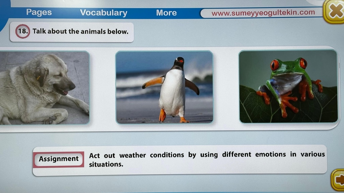 Animals’ Weather Preferences